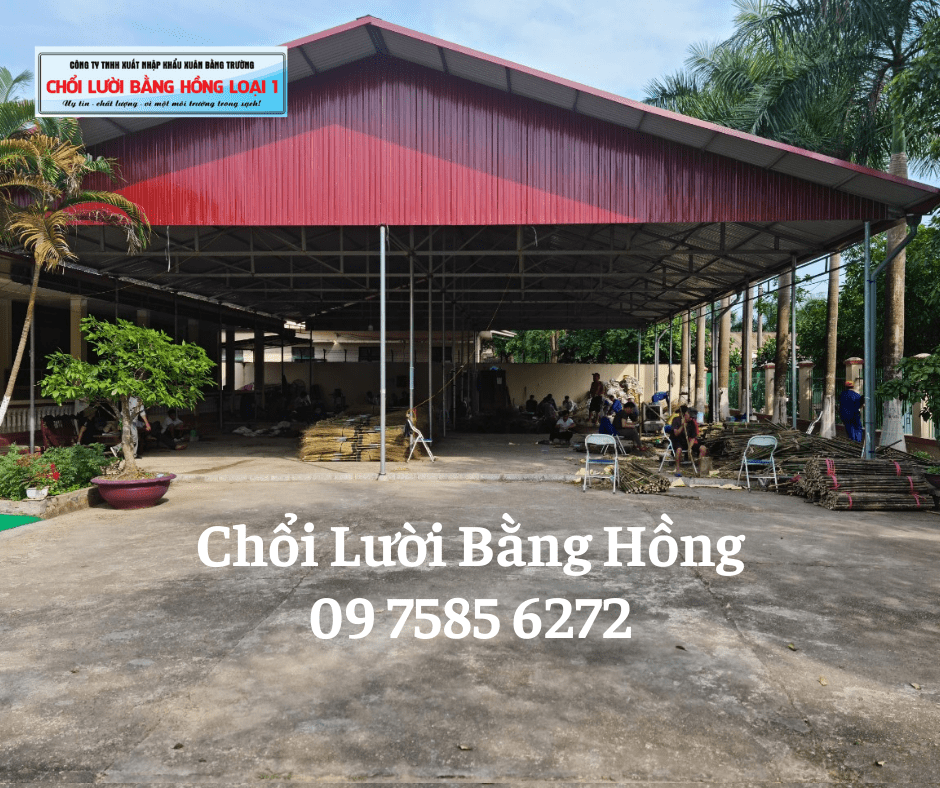 cac loai choi quet bui0806202345