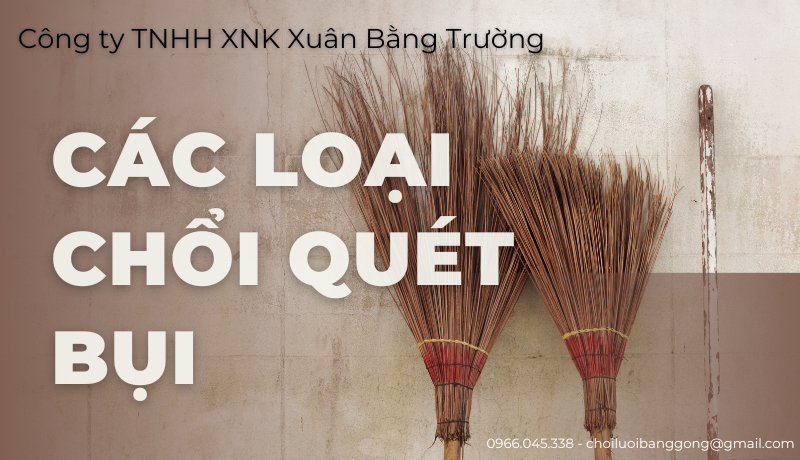 cac loai choi quet bui