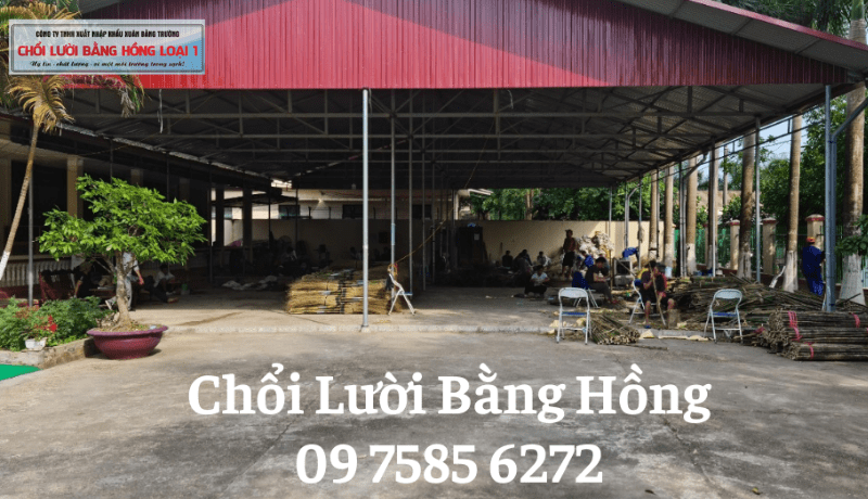 sản phẩm chổi chiếu Bằng Hồng